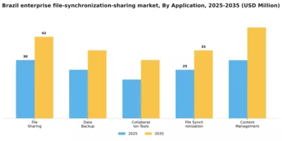 Brazil Enterprise File Synchronization Sharing Market Segment Image 0
