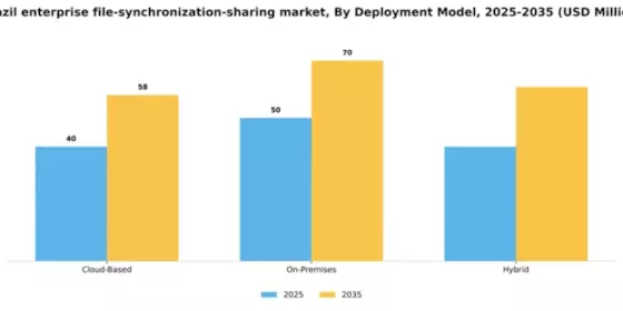 Brazil Enterprise File Synchronization Sharing Market Segment Image 1