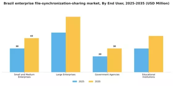 Brazil Enterprise File Synchronization Sharing Market Segment Image 2