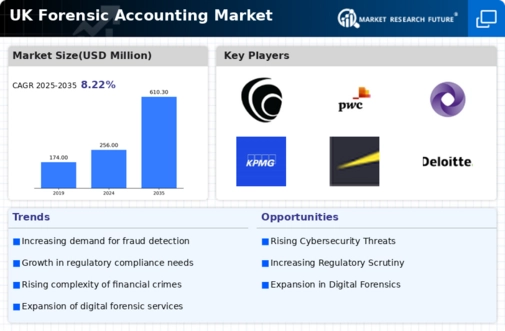 UK Forensic Accounting Market Infographic