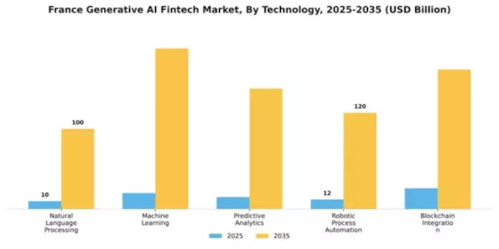 France Generative AI Fintech Market Segment Image 4