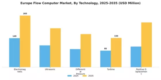 Europe Flow Computer Market Segment Image 4