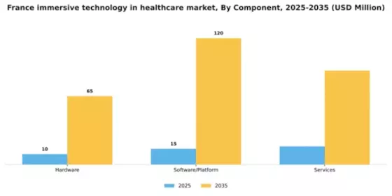 France Immersive Technology in Healthcare Market Segment Image 1