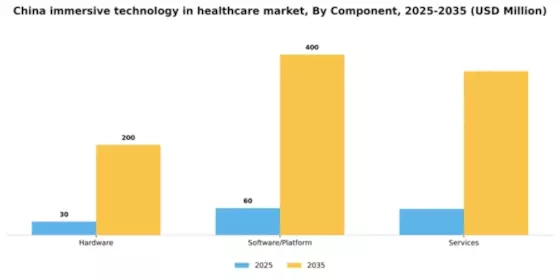 China Immersive Technology in Healthcare Market Segment Image 1