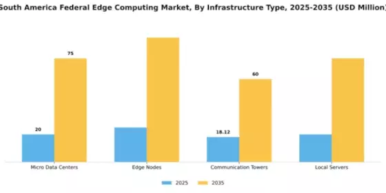 South America Federal Edge Computing Market Segment Image 3