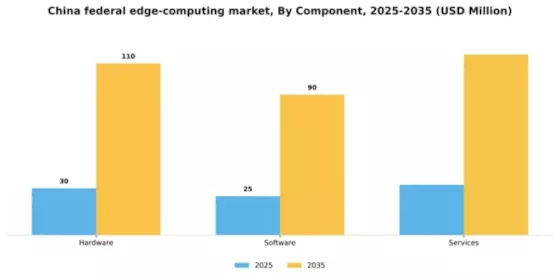 China Federal Edge Computing Market Segment Image 1