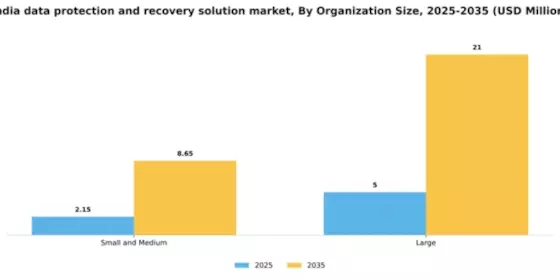India Data Protection Recovery Solution Market Segment Image 2