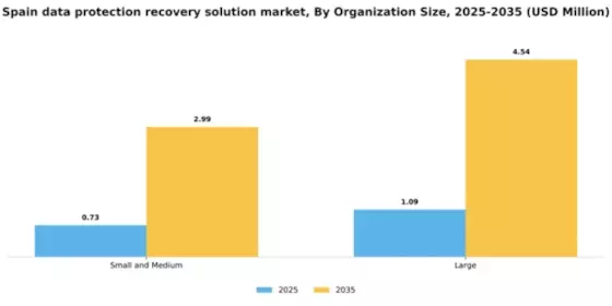 Spain Data Protection Recovery Solution Market Segment Image 2