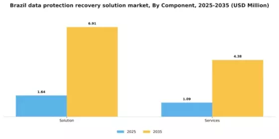 Brazil Data Protection Recovery Solution Market Segment Image 0