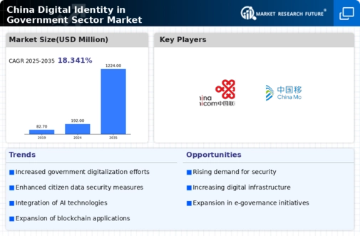 China Digital Identity In Government Sector Market Infographic