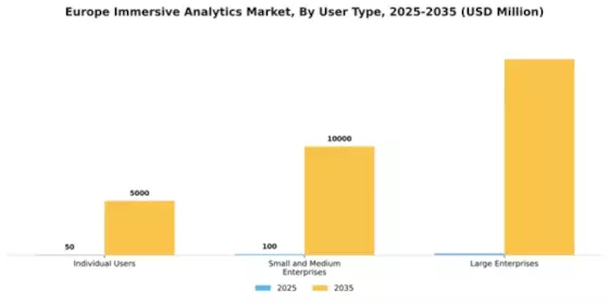 Europe Immersive Analytics Market Segment Image 4