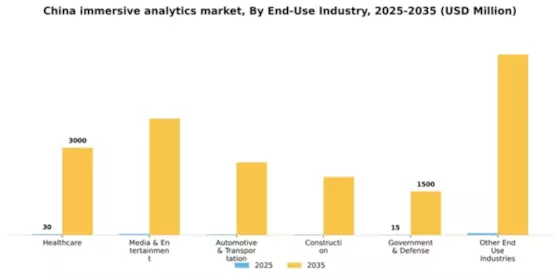 China Immersive Analytics Market Segment Image 1