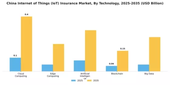 China Internet of Things Insurance Market Segment Image 3