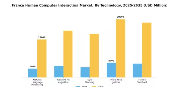 France Human Computer Interaction Market Segment Image 2