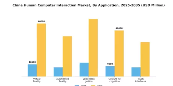 China Human Computer Interaction Market Segment Image 0