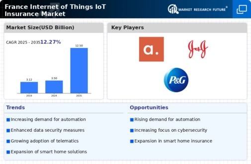 France Internet of Things Insurance Market Infographic