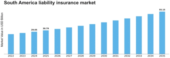 South America Liability Insurance Market Size