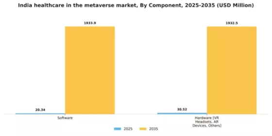 India Healthcare In Metaverse Market Segment Image 1