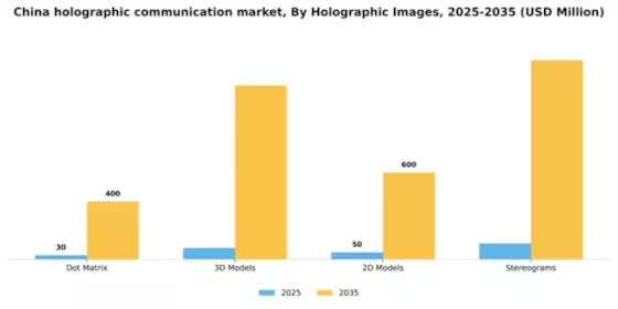 China Holographic Communication Market Segment Image 2
