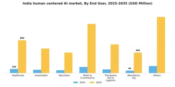 India Human Centered Ai Market Segment Image 1