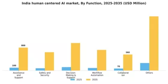 India Human Centered Ai Market Segment Image 2