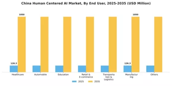 China Human Centered Ai Market Segment Image 1
