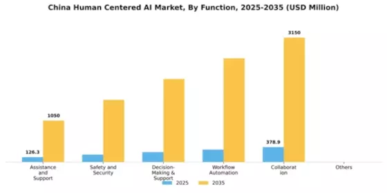 China Human Centered Ai Market Segment Image 2