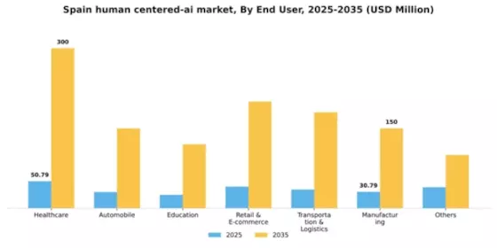 Spain Human Centered Ai Market Segment Image 1