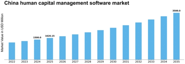 China Human Capital Management Software Market Size