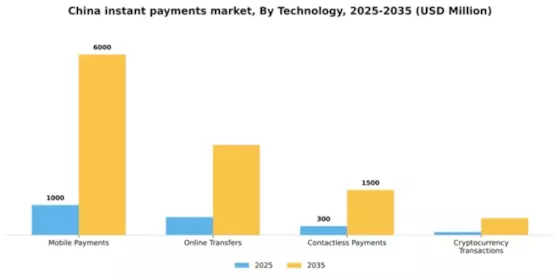 China Instant Payments Market Segment Image 2