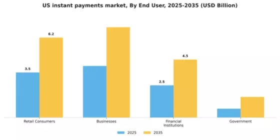 US Instant Payments Market Segment Image 1