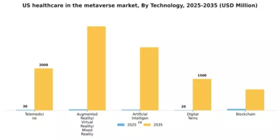 US Healthcare in Metaverse Market Segment Image 3