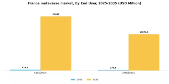 France Metaverse Market Segment Image 2