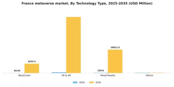 France Metaverse Market Segment Image 4
