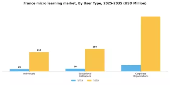 France Micro Learning Market Segment Image 3
