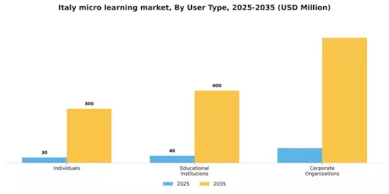 Italy Micro Learning Market Segment Image 3