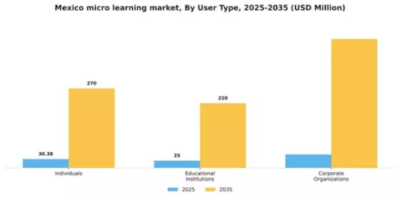 Mexico Micro Learning Market Segment Image 3