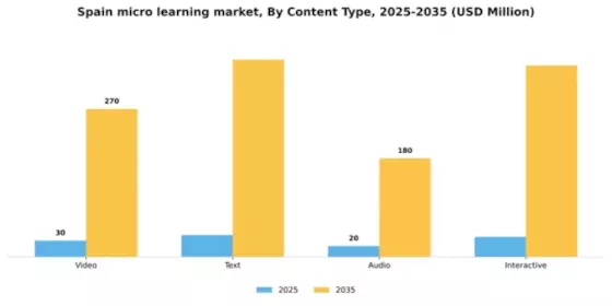 Spain Micro Learning Market Segment Image 1