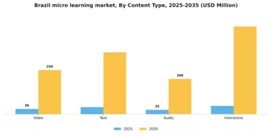 Brazil Micro Learning Market Segment Image 1