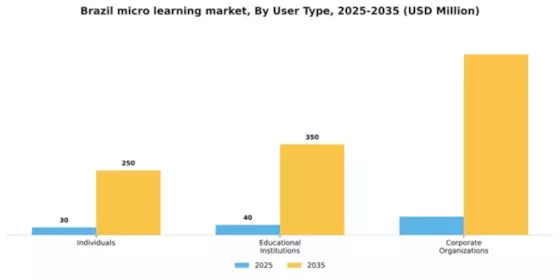 Brazil Micro Learning Market Segment Image 3