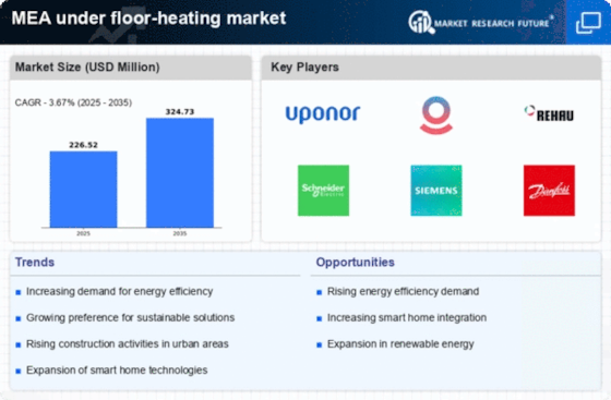 EMEA Blood Glucose Monitoring Market Infographic
