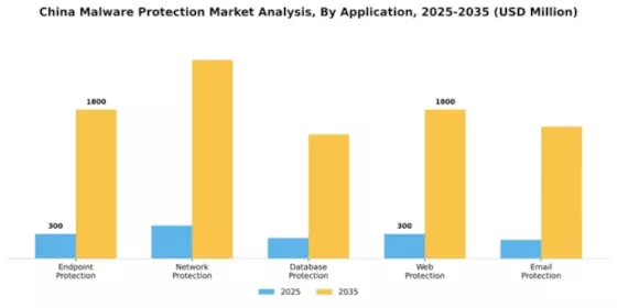 China Malware Protection Market Segment Image 0
