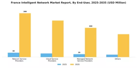 France Intelligent Network Market Segment Image 1
