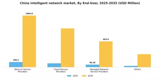China Intelligent Network Market Segment Image 1
