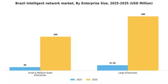 Brazil Intelligent Network Market Segment Image 2
