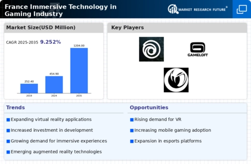 France Immersive Technology in Gaming Industry Market Infographic
