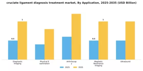 Cruciate Ligament Diagnosis Treatment Segment Image 0