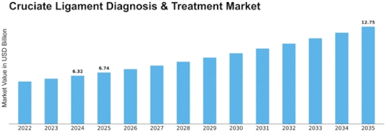 Cruciate Ligament Diagnosis Treatment Size