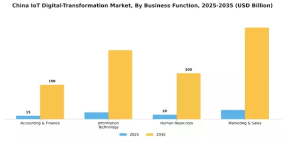 China Iot Digital Transformation Market Segment Image 0
