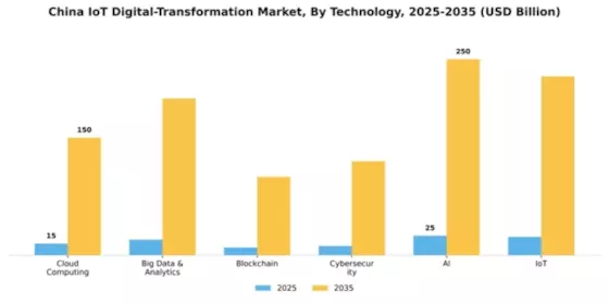 China Iot Digital Transformation Market Segment Image 2